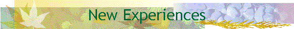 New Experiences